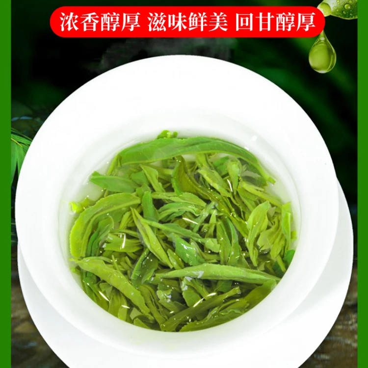 信阳毛尖2024新茶茶香浓郁绿茶毛尖茶浓香型精选茶叶手工A1-3