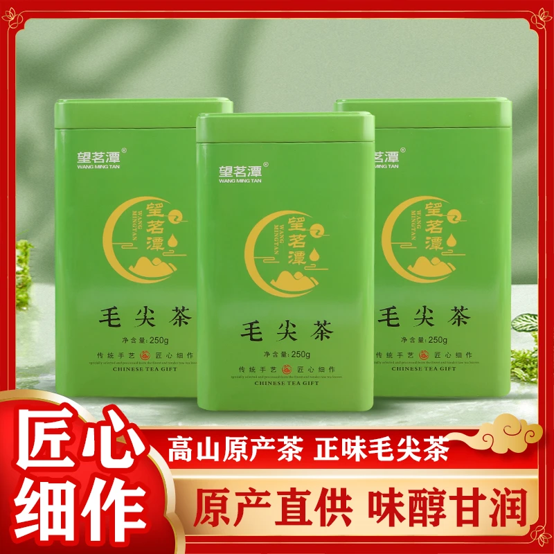 WANG MING TAN/望茗潭2024新茶信阳原产毛尖茶叶一斤半【厂家直销】