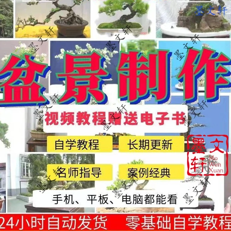 盆景制作视频技术教程技法盆栽培训教材花卉初学自学山水课程