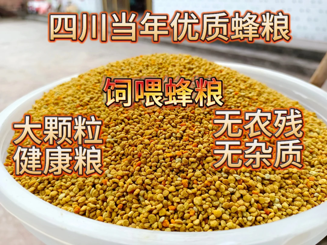四川油菜草花粉蜂粮,无病菌无农残,起蜂快,健康蜂群