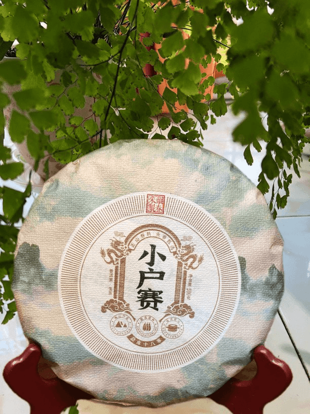 24.年 普洱新茶 小户赛