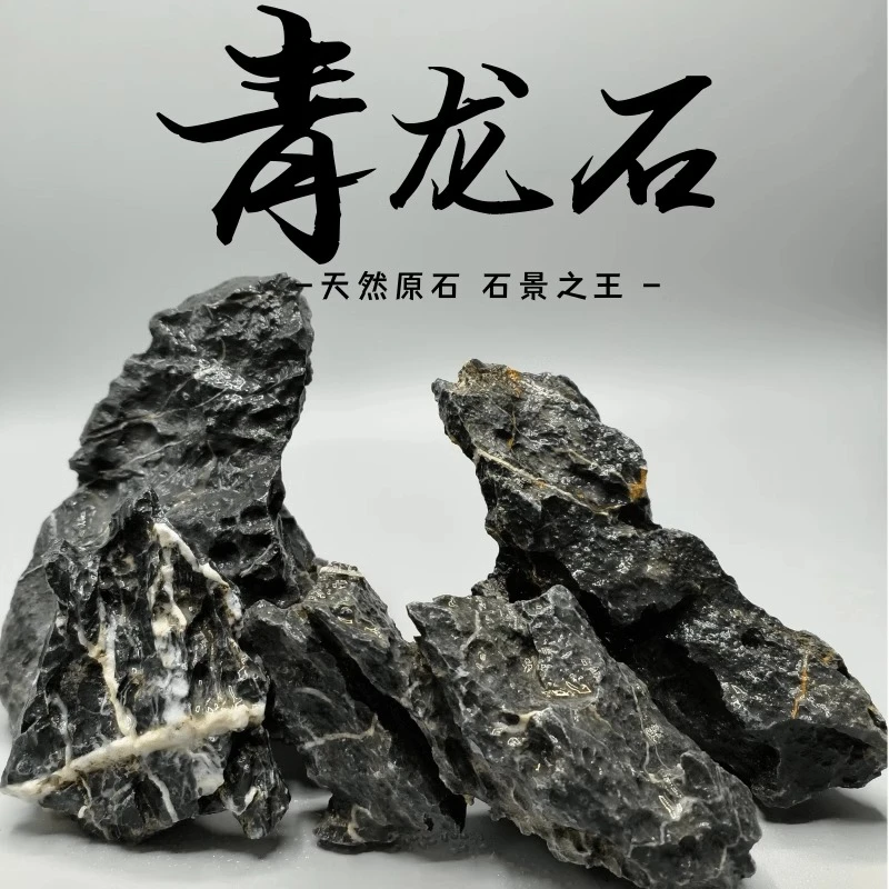 青龙石松皮石多种石鱼缸展示石天然真石头草缸假山小块盆景微景观