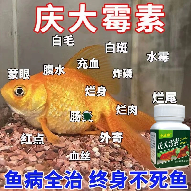【好用】庆大莓素鱼用治疗锦鲤金鱼炸鳞烂肉烂尾烂鳍充血鱼缸鱼用