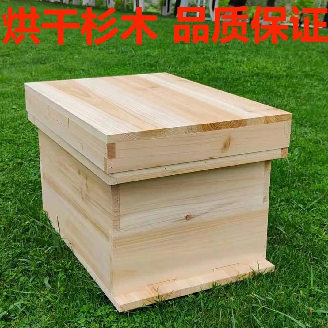 蜜蜂带王中华蜂群批发带子出售蜂王土蜂中蜂笼蜂蜂一整箱全套
