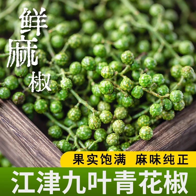 炊夫重庆江津九叶青新鲜花椒麻椒藤椒真空冷冻保鲜青花椒青麻椒