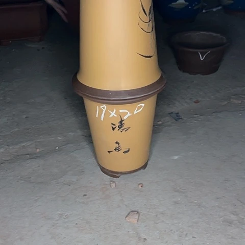 红陶20CM（含）-50CM（不含）