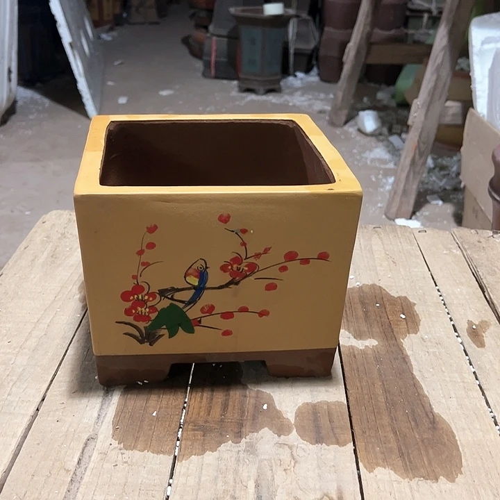 红陶20CM（含）-50CM（不含）我****鱼