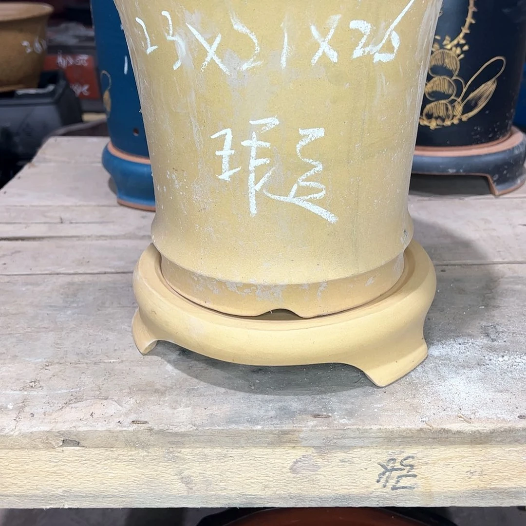 红陶我们一起加油加油努力加油加油