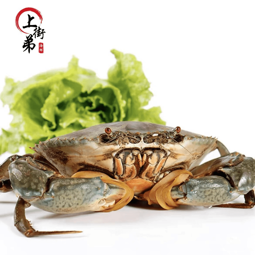 【天然菜鲟】 上街弟推荐鲟福州名菜 膏蟹包鲜不包活带绳子介意不拍