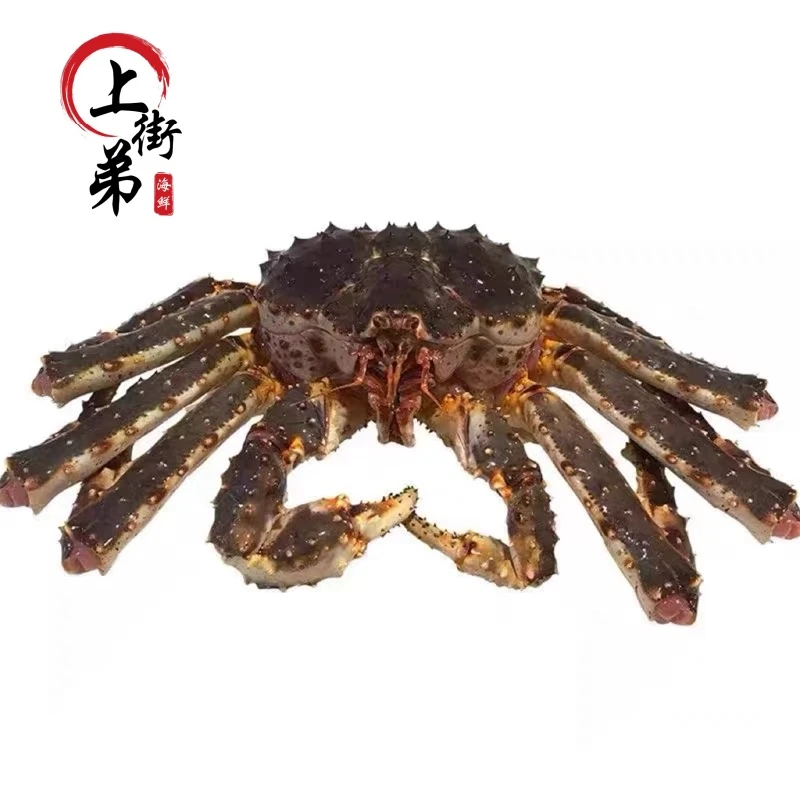 【鲜活帝王蟹】上街弟推荐帝王蟹 肉质鲜甜 顶壳肥 福州发货包鲜