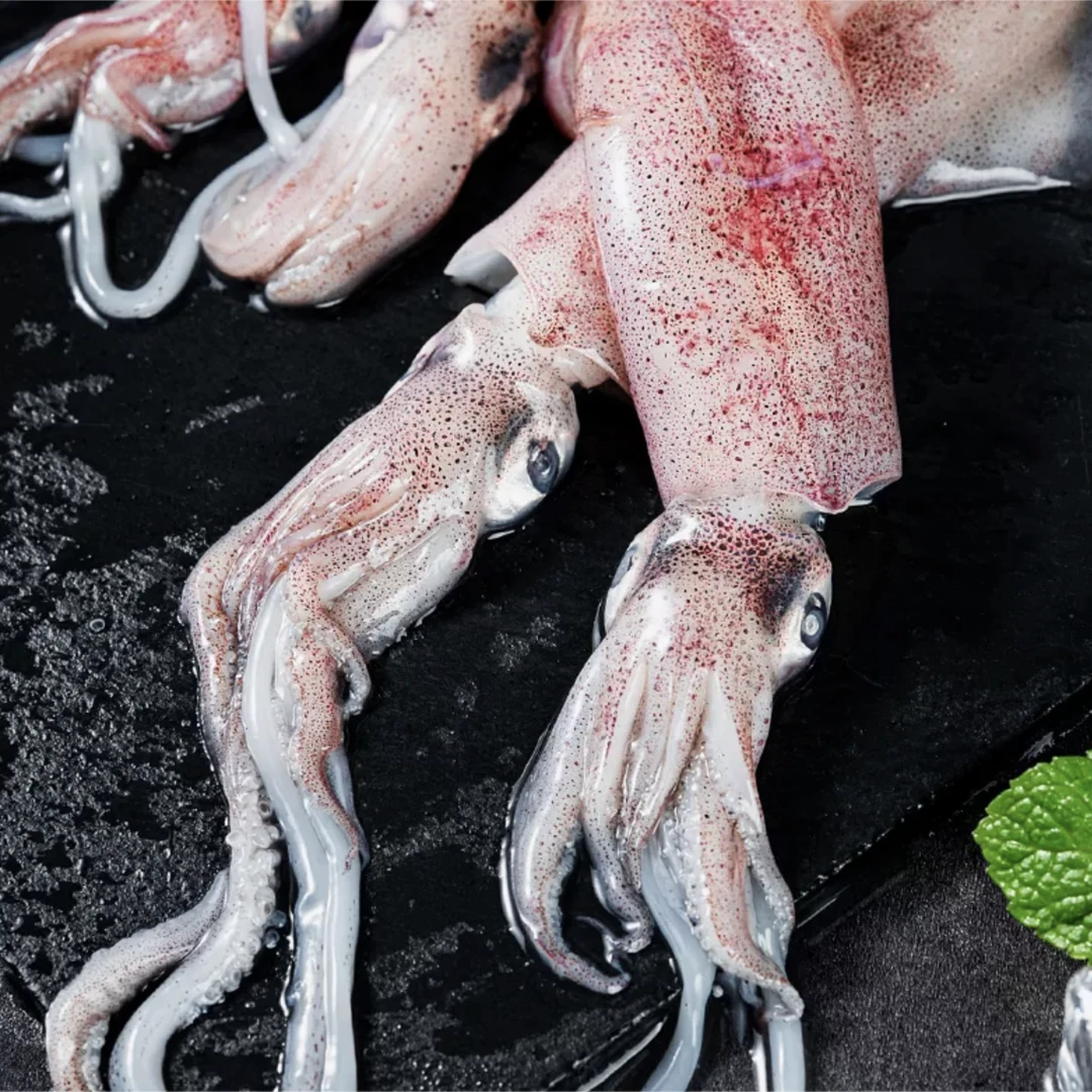 【新鲜小鱿鱼】上街弟推荐海捕发货肉质鲜嫩（包鲜不包活）新鲜