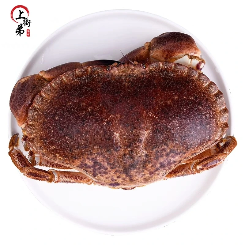 【面包蟹】上街弟推荐 鲜活面包蟹 肉质紧实 蟹黄饱满 包鲜到家