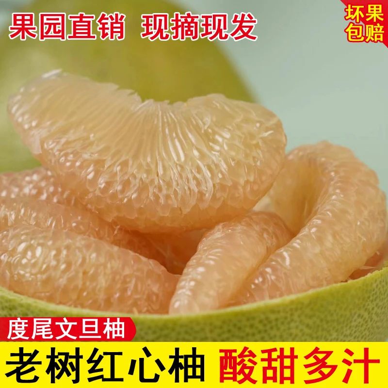 中秋送礼佳品度尾文旦柚老树红心新鲜时令应季水果