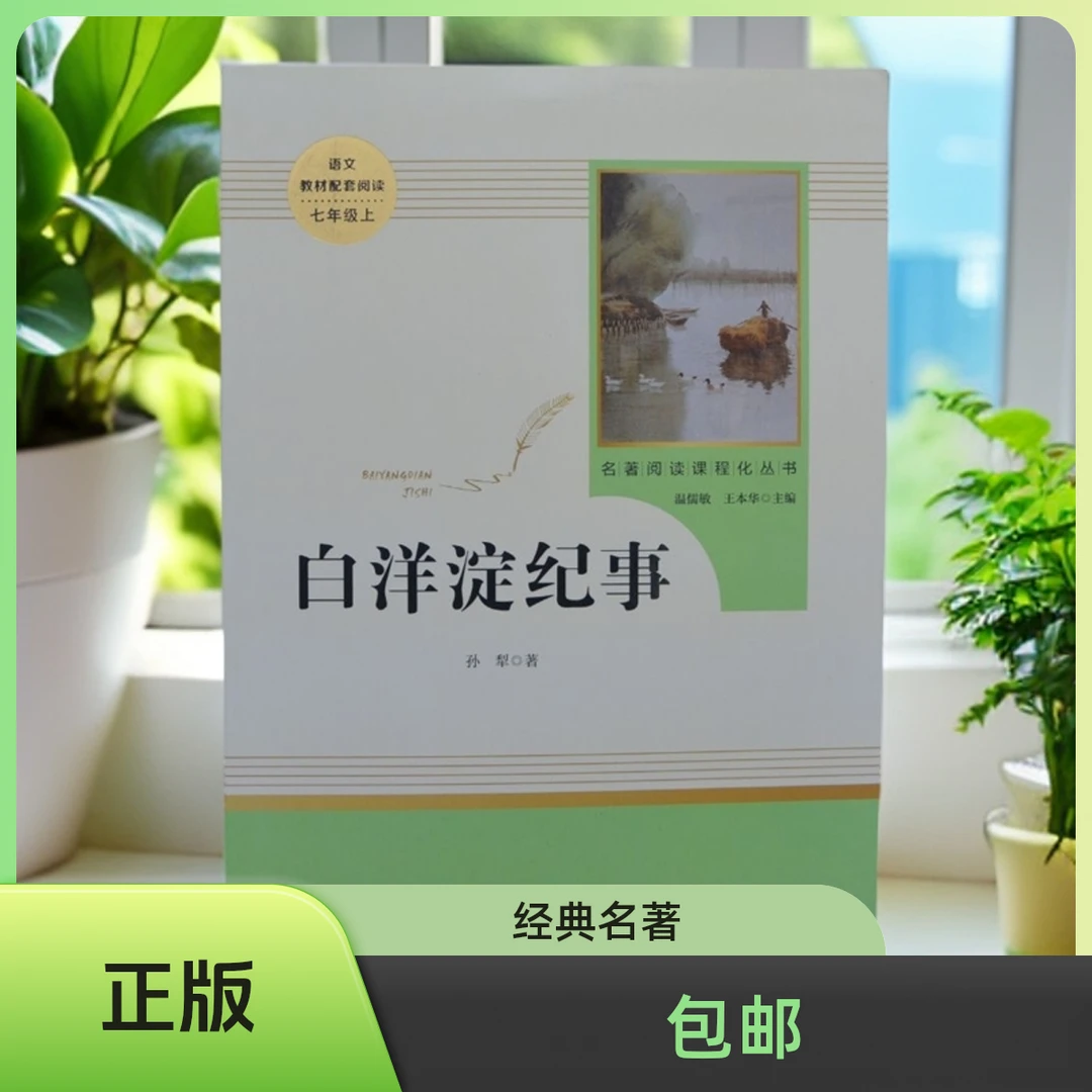 《白洋淀纪事》正版经典佳作，3新阅读，更适合学生阅读。