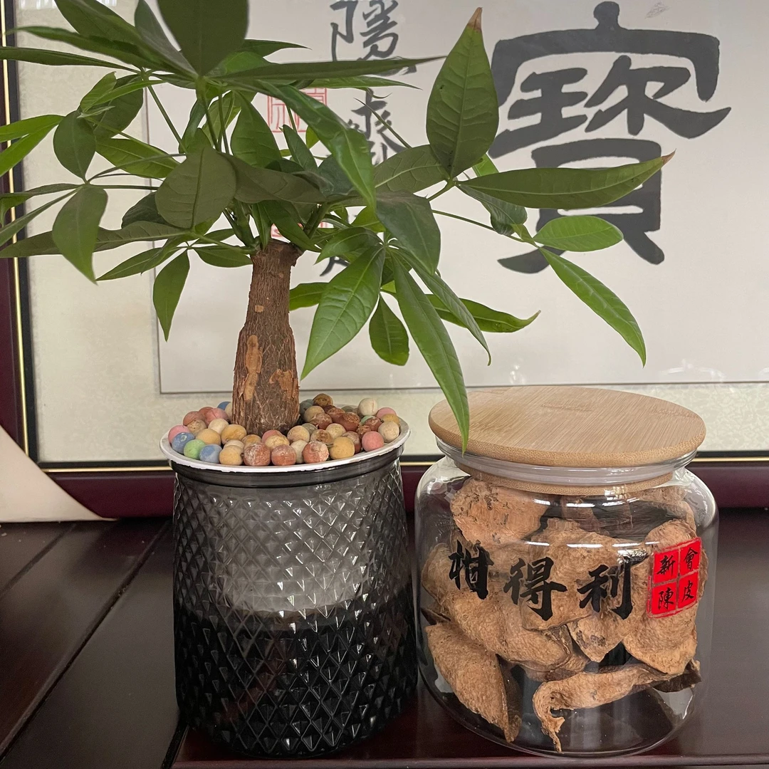 【万京油凉口感】   2007年梅江塞口围二红偏大红  正宗新会陈皮