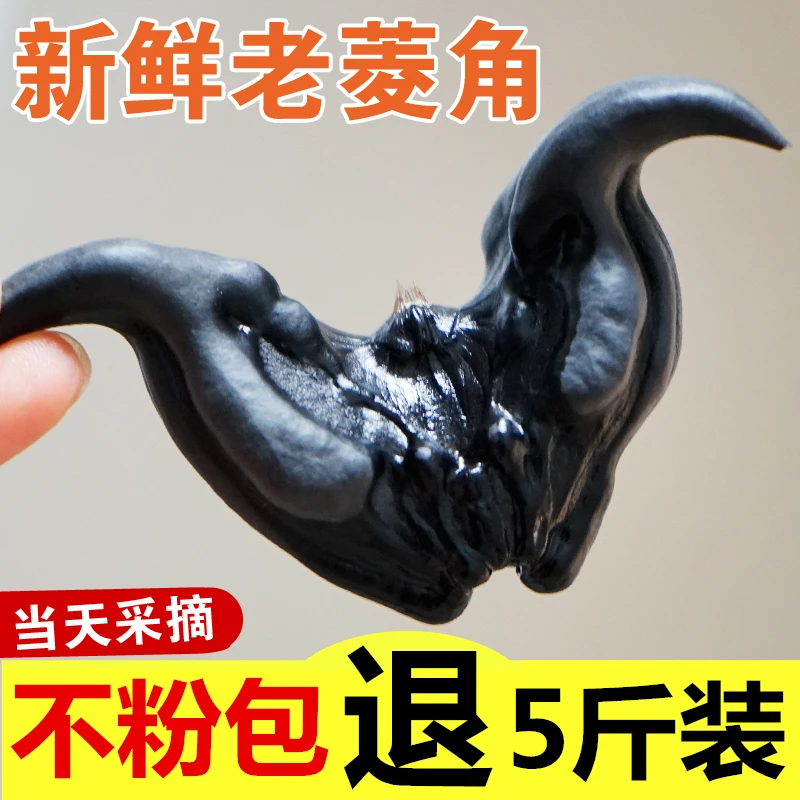 2023新鲜菱角5斤生吃当季水果蔬菜食种植苗种子现摘非1洪湖老菱角