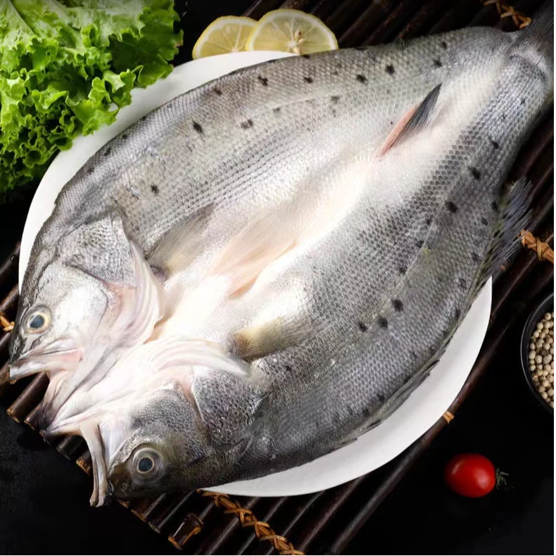 青岛发货新鲜三去海鲈鱼去鳞去鳃去内脏650-750g/条