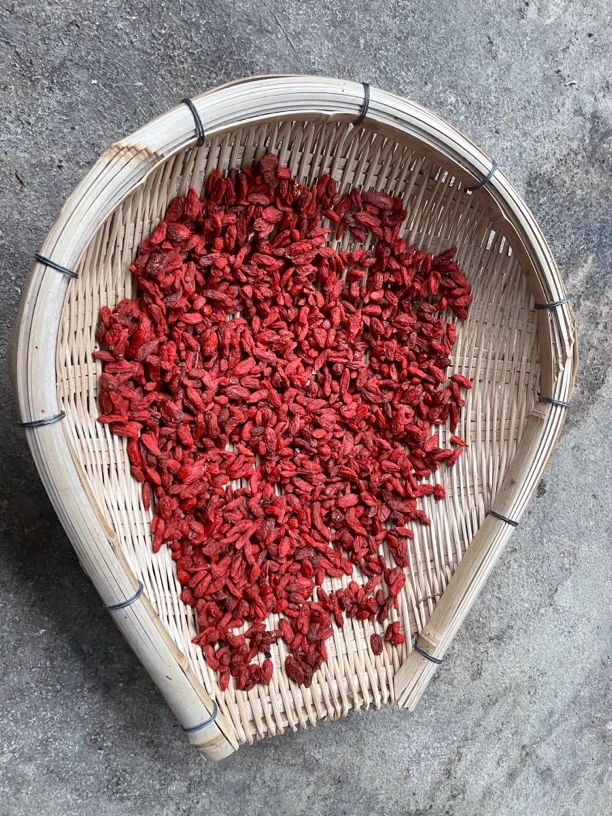 古滇土特产。 钩-几-菇500g