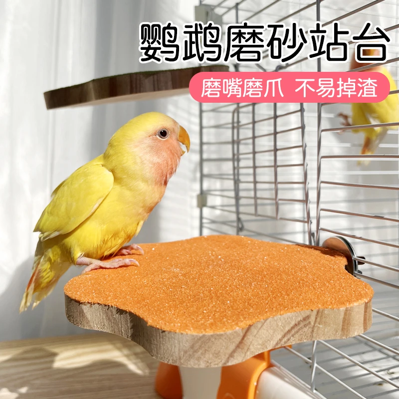 【宠大条】鹦鹉花朵跳台站台鸟玩具磨砂不掉沙啃咬磨嘴磨爪花朵站架