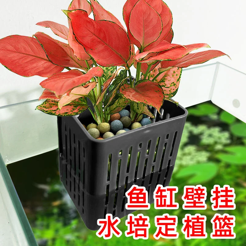 【奇妙妙】鱼缸水培定植篮壁挂式水草杯水植物种植鱼缸造景装饰配件