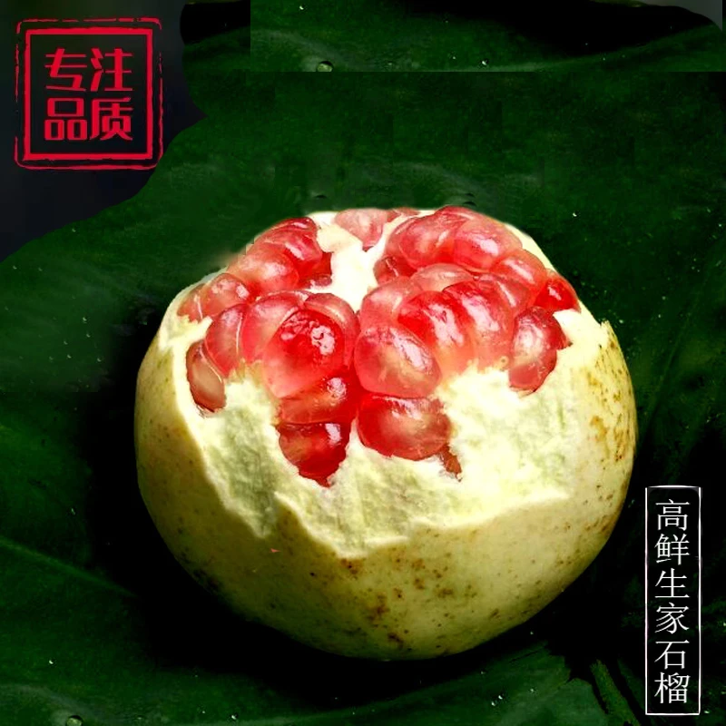 云南蒙自老树石榴绿籽水晶甜石榴薄皮当季新鲜果园现摘 中秋送礼