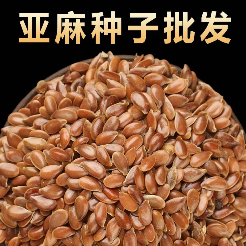 内蒙新亚麻种籽老品种胡麻种子可做亚麻子籽油籽粉蔬菜芽苗菜种孑