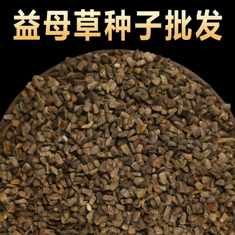 散装益母草种子新鲜益母草种籽四季种植药材还有红花丹参当归种孑