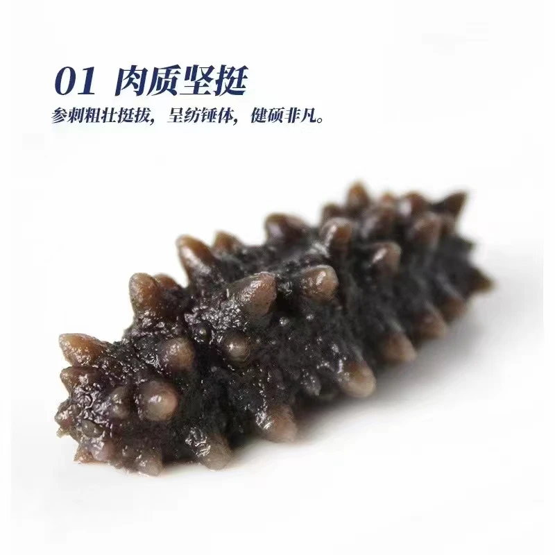 姜小参大连即食海参，个大肉厚软硬适中辽刺参解冻食用优质海参