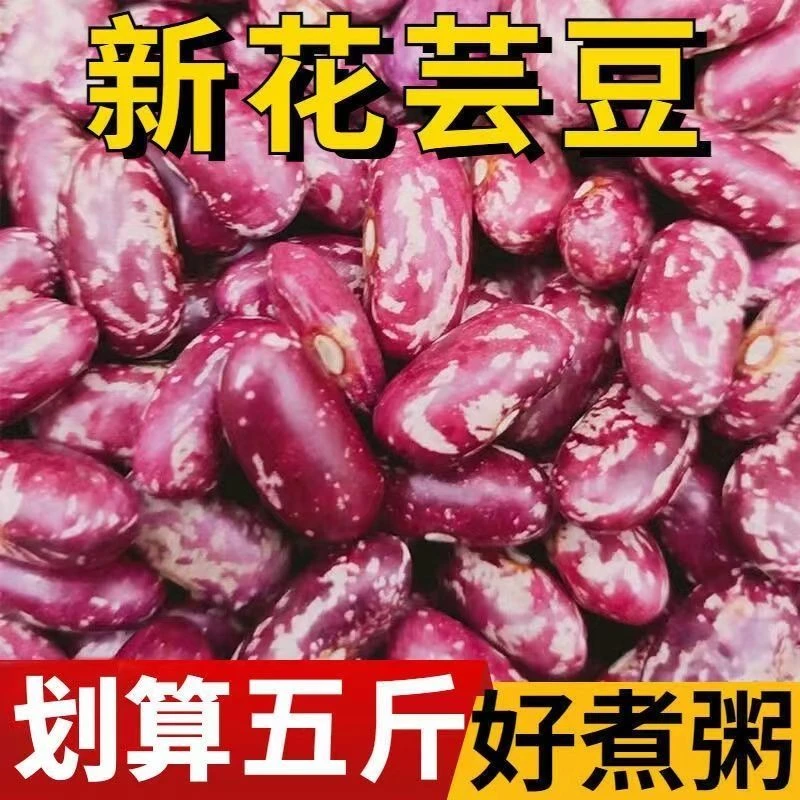 【5斤】2025年新花芸豆东北花芸豆新货东北煮饭大碴粥五谷杂粮
