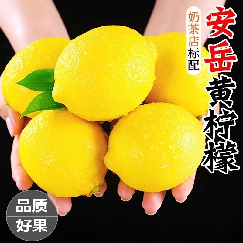 【精品】安岳柠檬4枚夏日必备