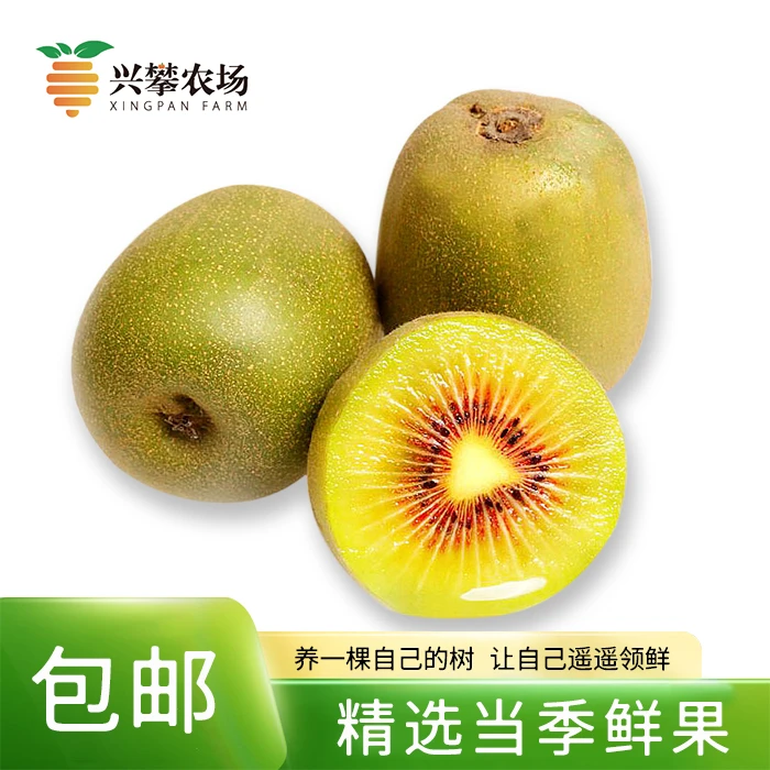 四川红心猕猴桃 大果 含箱5斤