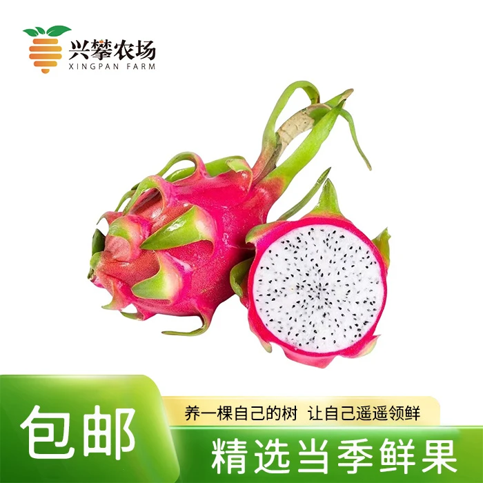 越南白心火龙果 360g 含箱3斤