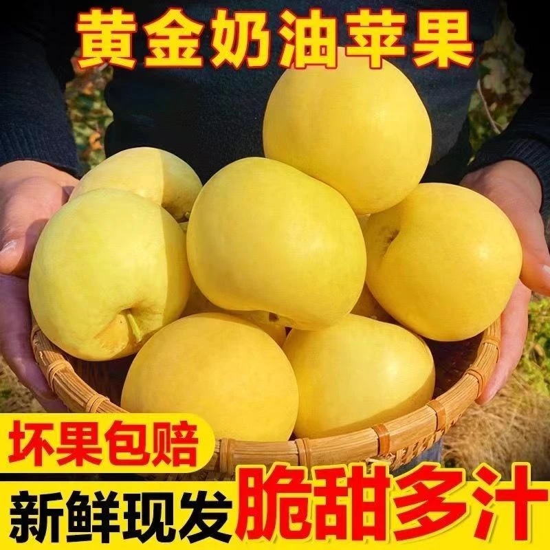 J山东奶油富士4.5/2斤脆甜多汁现摘现发苹果奶油苹果
