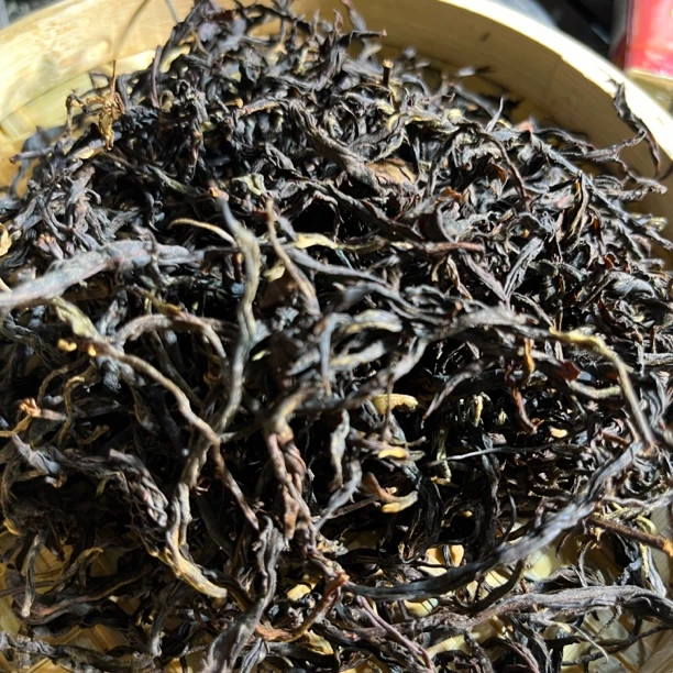 2025年头春古树晒红