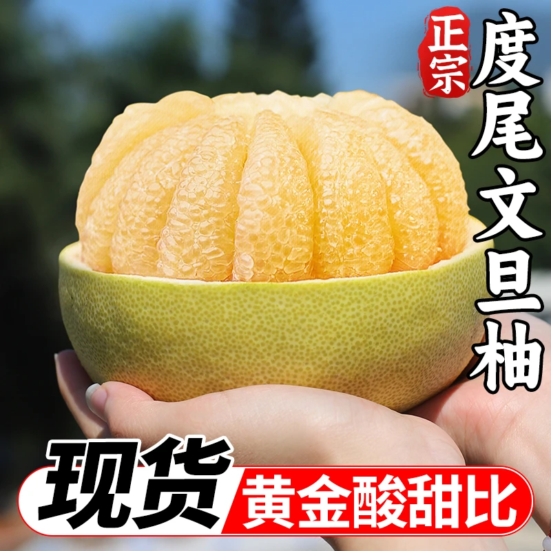【新人福利】5-10斤正宗福建莆田度尾文旦柚新鲜柚子水果产地直供