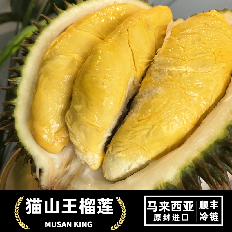 年货计划限定马来西亚液氮猫山王榴莲2-7斤/颗丝滑绵蜜【顺丰包邮】