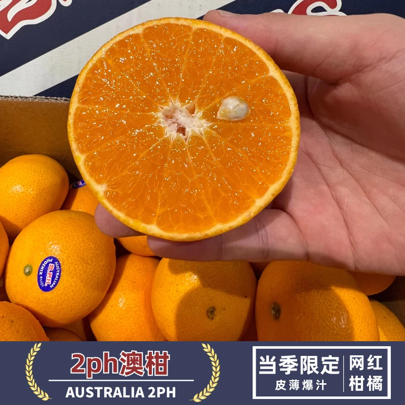 z森叔源选 当季限定2PH澳柑HONEY系列3/5斤细嫩化渣有籽【顺丰包邮