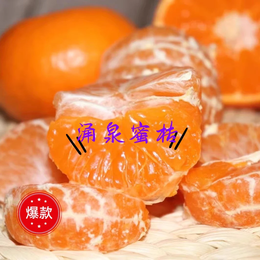临海涌泉蜜桔应季新鲜采摘5斤、10斤装无核无渣高山桔孕妇宝妈可选