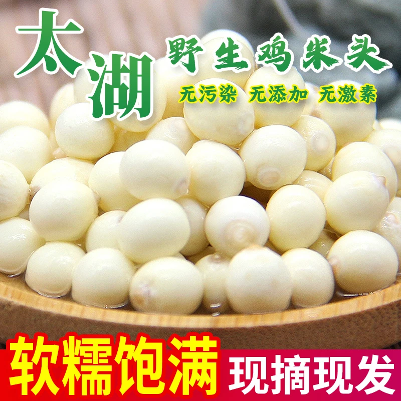 鸡头米苏州太湖特产大颗粒新鲜芡实产地直发农家采摘软糯清香芡实