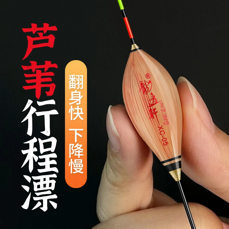 龙逸轩XC鸽子蛋带壳芦苇浮漂行程浮漂打浮浮漂抗流水浮漂黑坑竞技