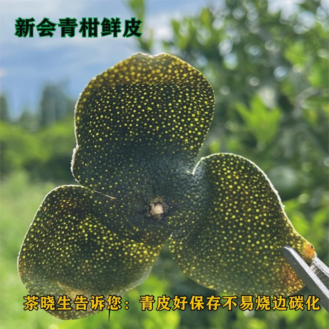 【康品官】新会三江2024年驳枝青陈皮鲜青柑皮鲜青柑皮纯天然保存