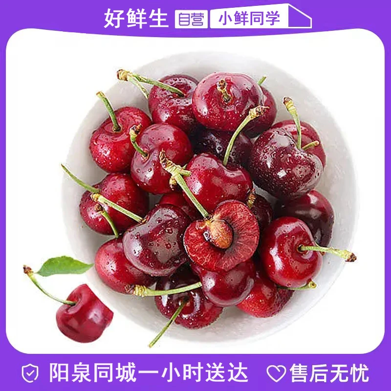 【A级】智利单J车厘子1斤装