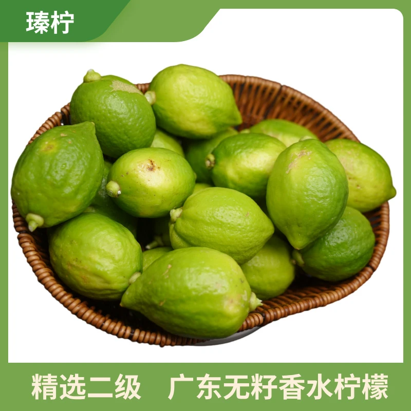 精选二级广东无籽香水柠檬/果园现摘现发/摆摊专用果/新鲜酸甜