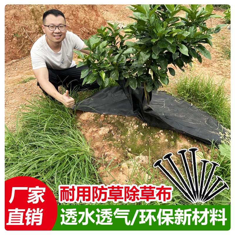 新型生态多功能防草布果园农用地膜果树用透水透气保湿地布可降解
