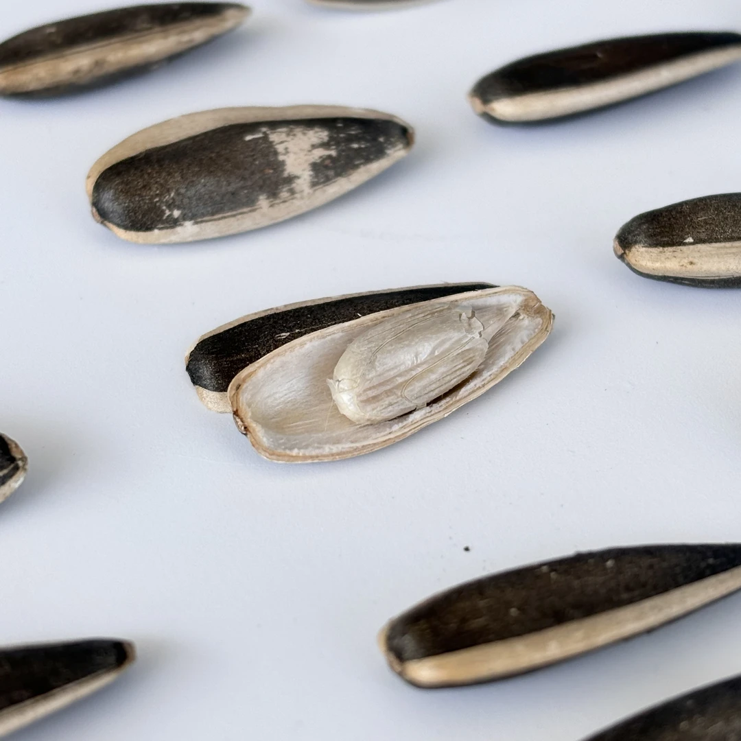 漠北原味葵花籽瓜子皮薄个大仁大味香没有科技与狠活