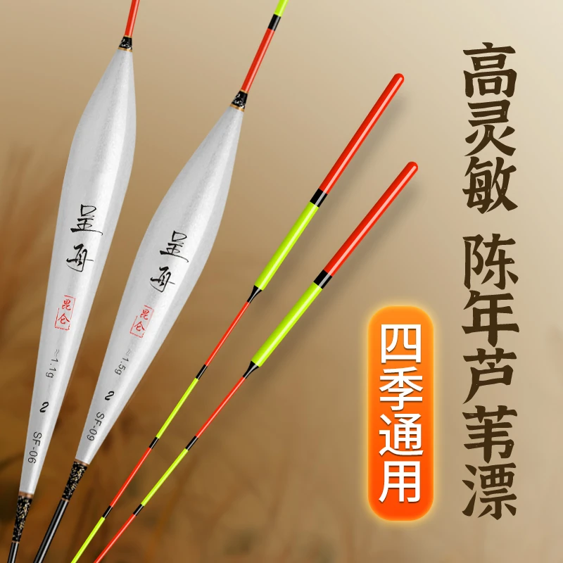 呈舟精品SF去壳芦苇浮漂高灵敏芦苇浮漂轻口鲫鱼浮漂垂钓底钓立式