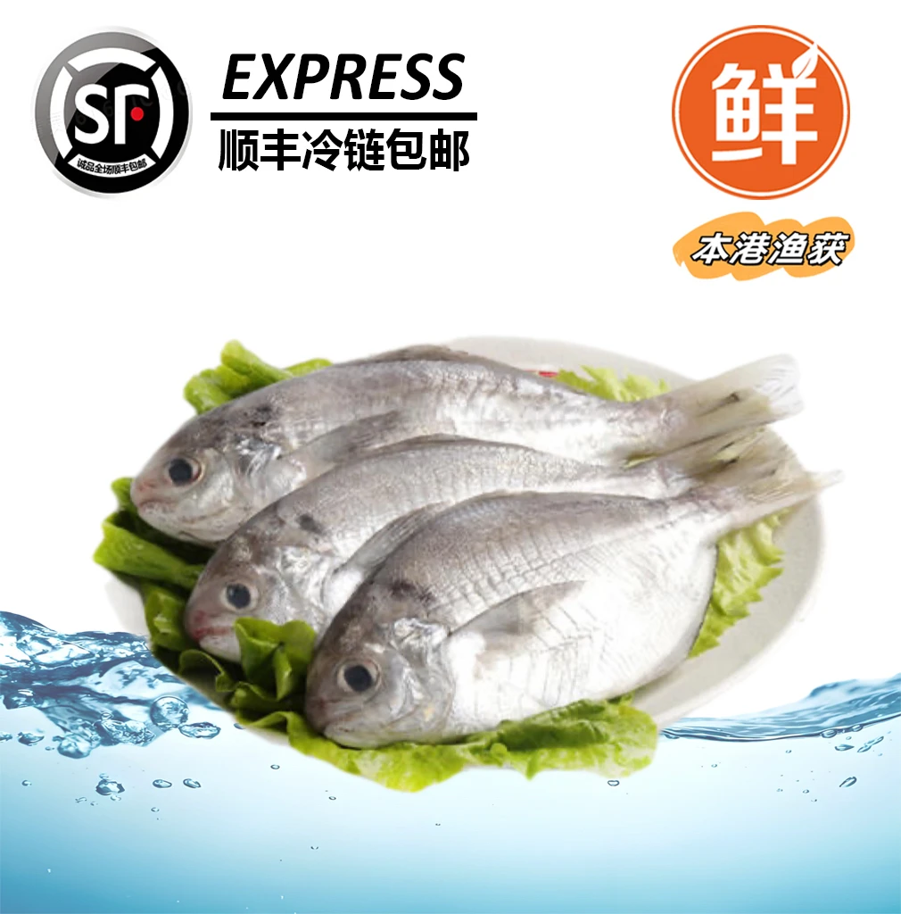 【南鲳/肉鲳】神泉本港野生网捕南鲳鱼5包补钙海捕速冻顺丰冷链包邮