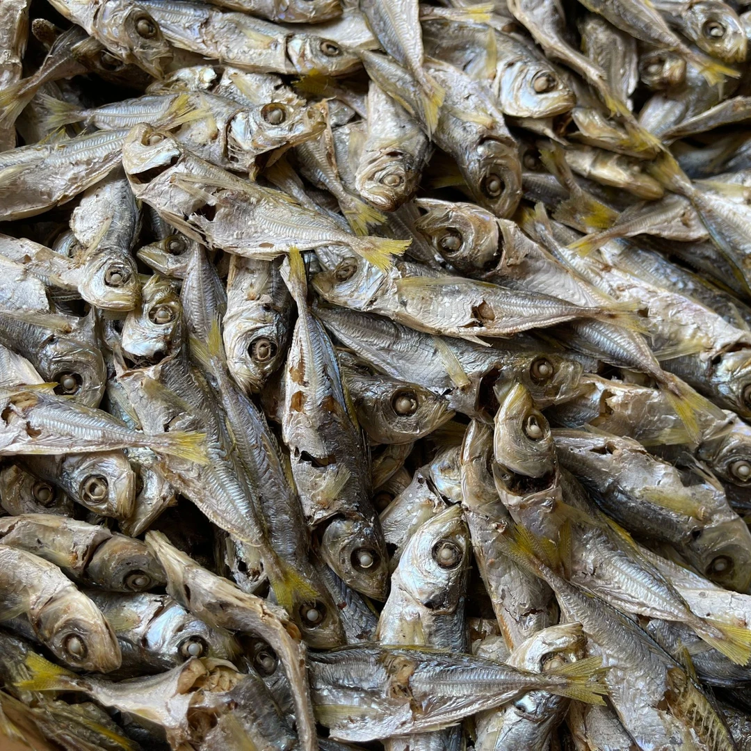 24年 新货 巴浪鱼干1000克/1500克 （到货需冷冻保存）（含袋重量）