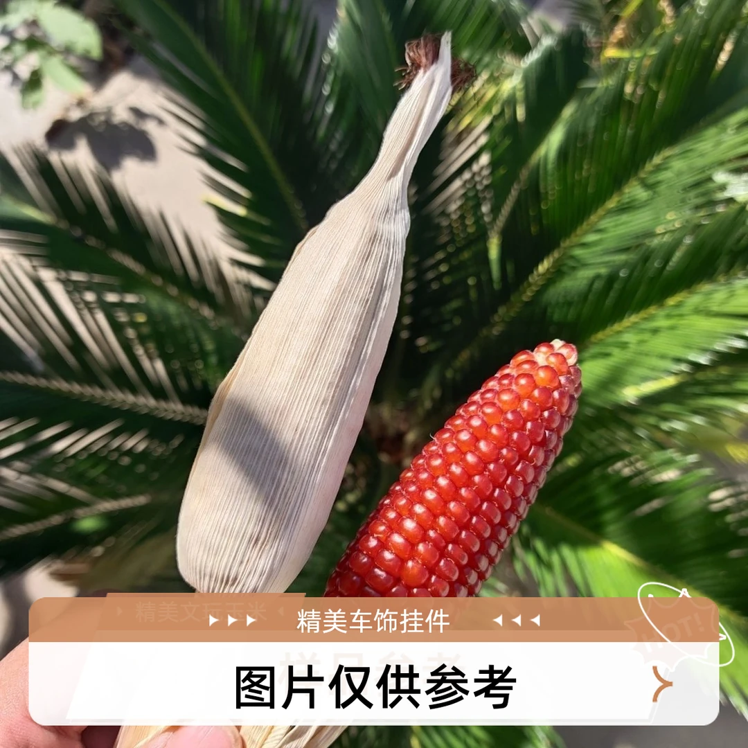 盛夏直播间链接（请勿私拍）一物一拍 自行截图 车饰挂件文玩玉米