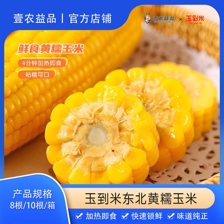 【玉到米】鲜食黄糯玉米当季新鲜采摘真空包装粘糯（8根/10根）